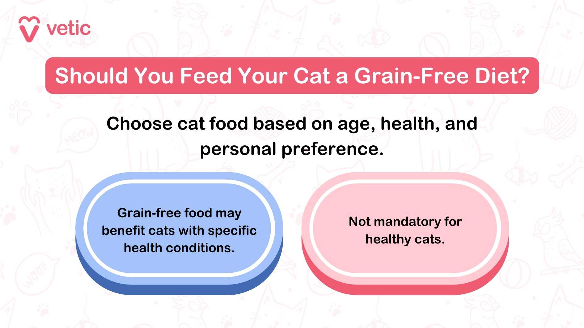 Should You Feed Your Cat a Grain-Free Diet?" with key points about considering age, health, and personal preferences. The visual includes a thematic background with faint cat illustrations.