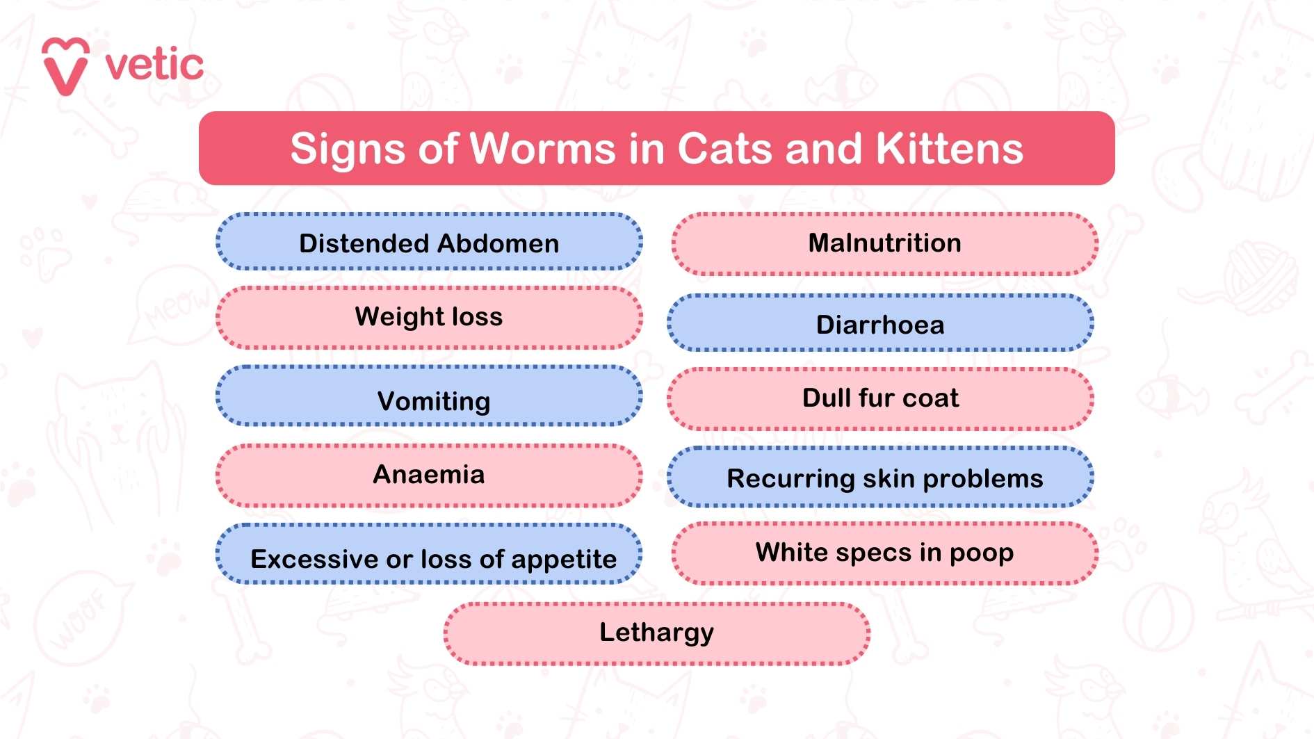 Signs of Worms in Cats and Kittens - Vetic This informative graphic from "Vetic" lists the telltale signs of worms in cats and kittens. The title, "Signs of Worms in Cats and Kittens," is prominently displayed in a bold red banner. The image features two columns of symptoms, each enclosed in a colored box, providing a clear overview of potential indicators of worms in cats. The symptoms listed are: Distended Abdomen Weight Loss Vomiting Anaemia Excessive or Loss of Appetite Malnutrition Diarrhoea Dull Fur Coat Recurring Skin Problems White Specs in Poop Lethargy This visual guide helps pet owners identify and monitor common symptoms of parasitic worms in cats, ensuring timely veterinary care and treatment.