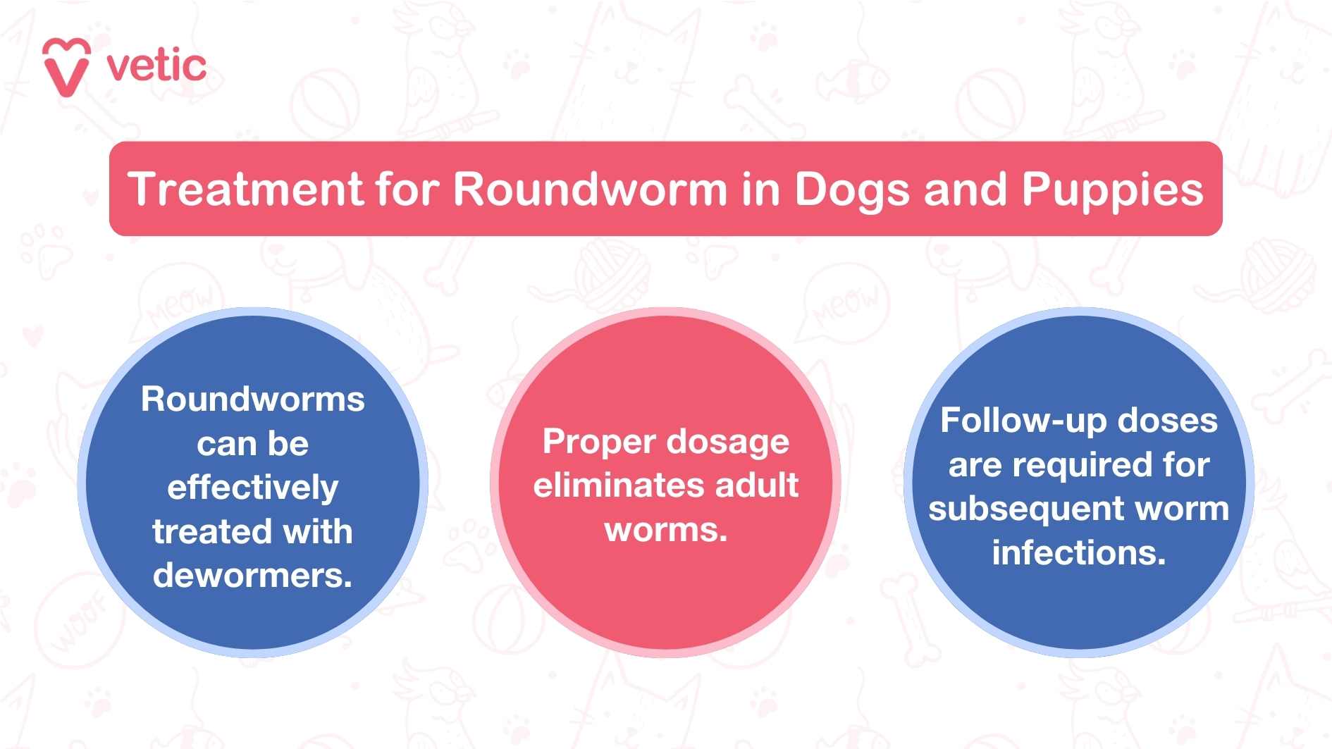 The image is an informational graphic from "Vetic" about the treatment for roundworm in dogs and puppies. It contains three main points presented in colored circles: "Roundworms can be effectively treated with dewormers." "Proper dosage eliminates adult worms." "Follow-up doses are required for subsequent worm infections." This image highlights the key aspects of treating roundworm infections, emphasizing the effectiveness of dewormers, the importance of proper dosage, and the necessity of follow-up doses.