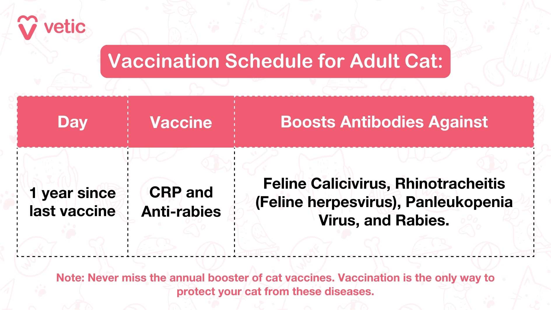 The image is a vaccination schedule for adult cats provided by "Vetic." The design is clean and organized, featuring a table format that outlines the timing, type of vaccine, and the diseases they protect against. The background color is soft and professional, enhancing the visual appeal. The schedule specifies that one year after the last vaccine, cats should receive both the CRP and Anti-Rabies vaccines. These vaccines boost antibodies against Feline Calicivirus, Rhinotracheitis (Feline herpesvirus), Panleukopenia Virus, and Rabies. There is also a note at the bottom of the image emphasizing the importance of not missing the annual booster of cat vaccines to ensure protection against these diseases. This vaccination schedule provides a clear guideline for maintaining the health of adult cats by ensuring they receive the necessary boosters to protect against various viral infections.