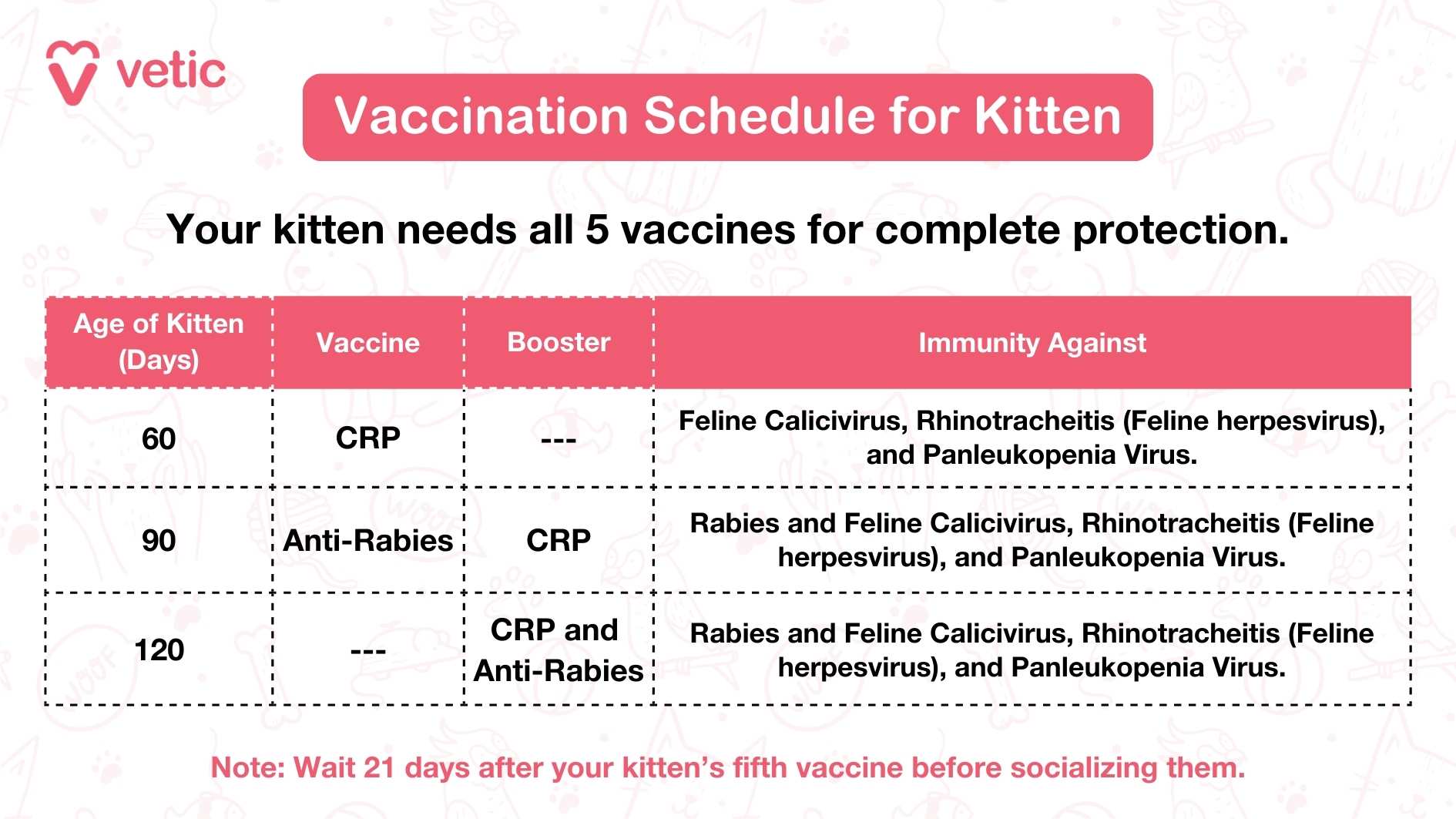 The image is a vaccination schedule for kittens provided by "Vetic." The schedule outlines the necessary vaccines and boosters required for a kitten at different ages to ensure complete protection against various diseases. The design is clean and organized, with each age group and corresponding vaccine clearly highlighted. The background features a soft, professional color, enhancing the visual appeal. Content Description: The vaccination schedule is divided into three age groups: 60 days, 90 days, and 120 days. At 60 days, the kitten should receive the CRP vaccine, which provides immunity against Feline Calicivirus, Rhinotracheitis (Feline herpesvirus), and Panleukopenia Virus. At 90 days, the kitten should receive the Anti-Rabies vaccine and a CRP booster, providing immunity against Rabies, Feline Calicivirus, Rhinotracheitis (Feline herpesvirus), and Panleukopenia Virus. At 120 days, the kitten should receive both CRP and Anti-Rabies boosters, ensuring continued immunity against Rabies, Feline Calicivirus, Rhinotracheitis (Feline herpesvirus), and Panleukopenia Virus. The note at the bottom advises waiting 21 days after the kitten's fifth vaccine before socializing them. This ensures the kitten has full immunity before being exposed to other animals and environments.