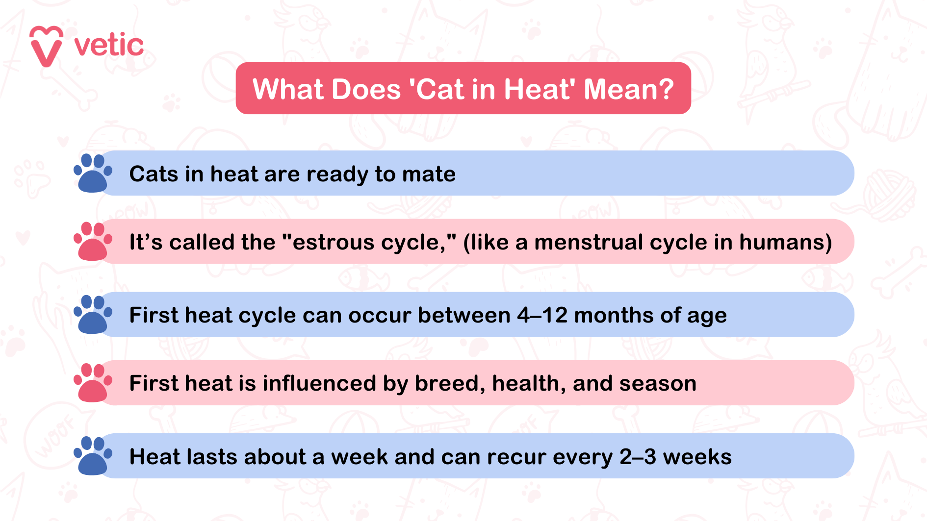 What Does 'Cat in Heat' Mean? Heat in cats is similar to period in humans. Except, they don't bleed out. Period in cats or estrus is the phase when the blood is absorbed by the uterus to prime it for conception after mating. Cats in heat are ready to mate It’s called the "estrous cycle," (like a menstrual cycle in humans) First heat cycle can occur between 4–12 months of age First heat is influenced by breed, health, and season Heat lasts about a week and can recur every 2–3 weeks