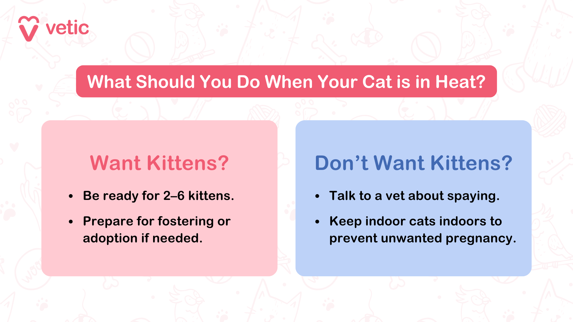 What Should You Do When Your Cat is in Heat? Want Kittens? Be ready for 2–6 kittens. Prepare for fostering or adoption if needed. Don’t Want Kittens? Talk to a vet about spaying. Keep indoor cats indoors to prevent unwanted pregnancy.