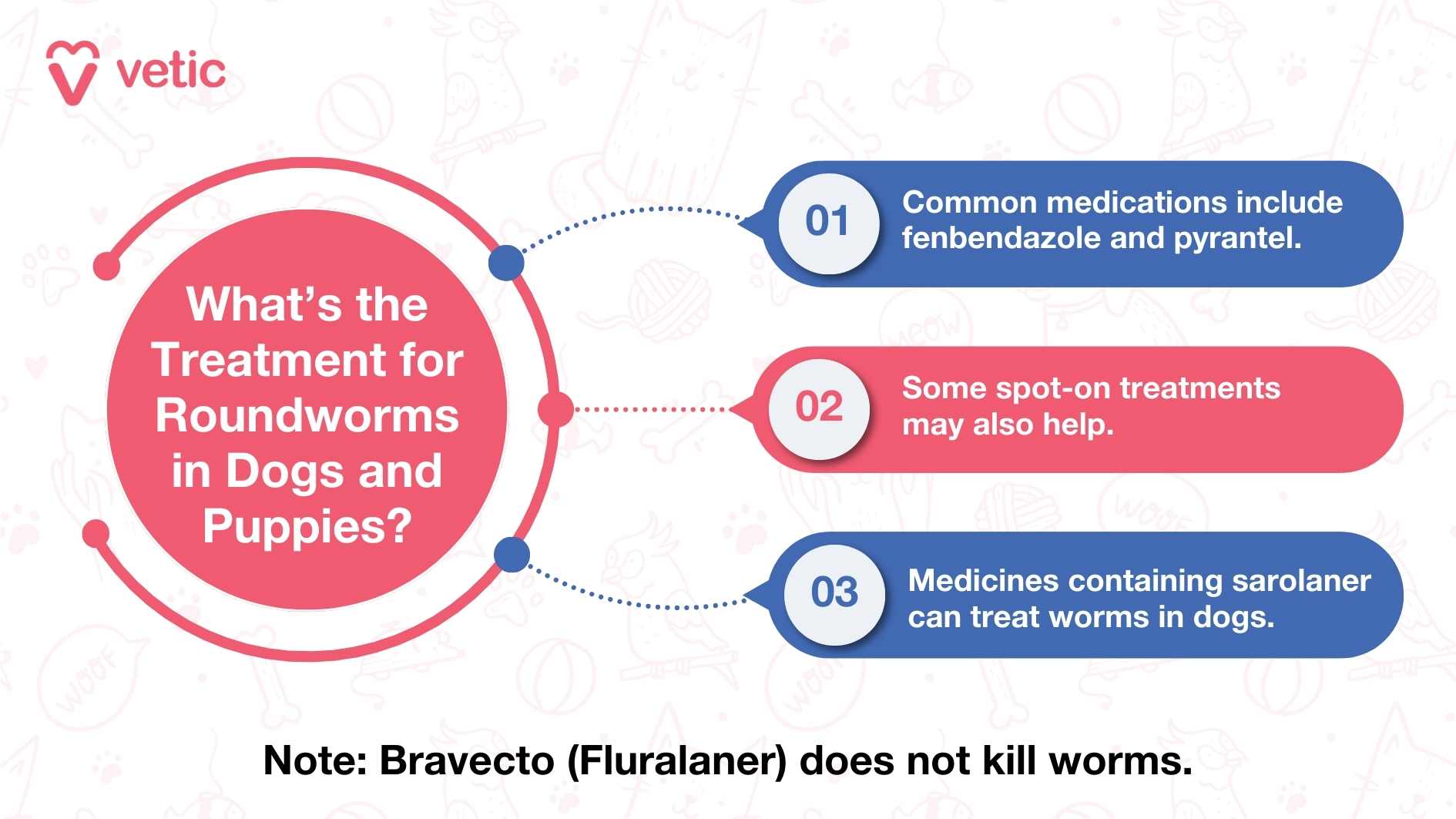 The image is an infographic from "Vetic" about the treatment for roundworms in dogs and puppies. It contains the following information: Common medications include fenbendazole and pyrantel. Spot-on treatments may also help. Medicines containing sarolaner can treat worms in dogs. Additionally, there is a note at the bottom stating: "Note: Bravecto (Fluralaner) does not kill worms."