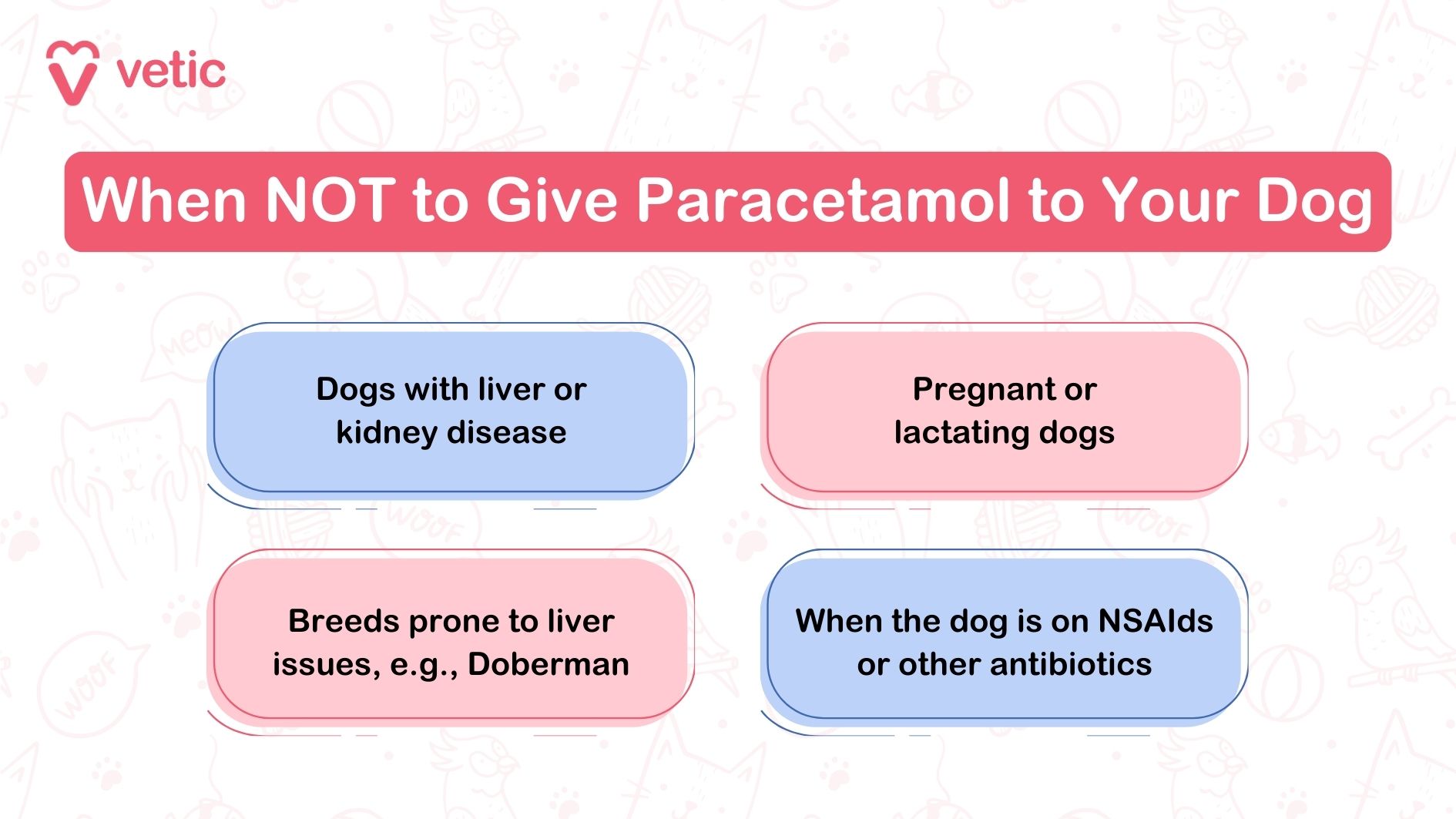 The image is an informational graphic from "vetic" about when not to give paracetamol to dogs. It lists four specific conditions under which paracetamol should not be administered to dogs: Dogs with liver or kidney disease. Pregnant or lactating dogs. Breeds prone to liver issues, e.g., Doberman. When the dog is on NSAIDs or other antibiotics. The background of the image is simple, with an illustration of a dog and medical symbols, reinforcing the seriousness of the advice. This image emphasizes the importance of avoiding giving paracetamol to dogs under specific medical conditions to prevent harm