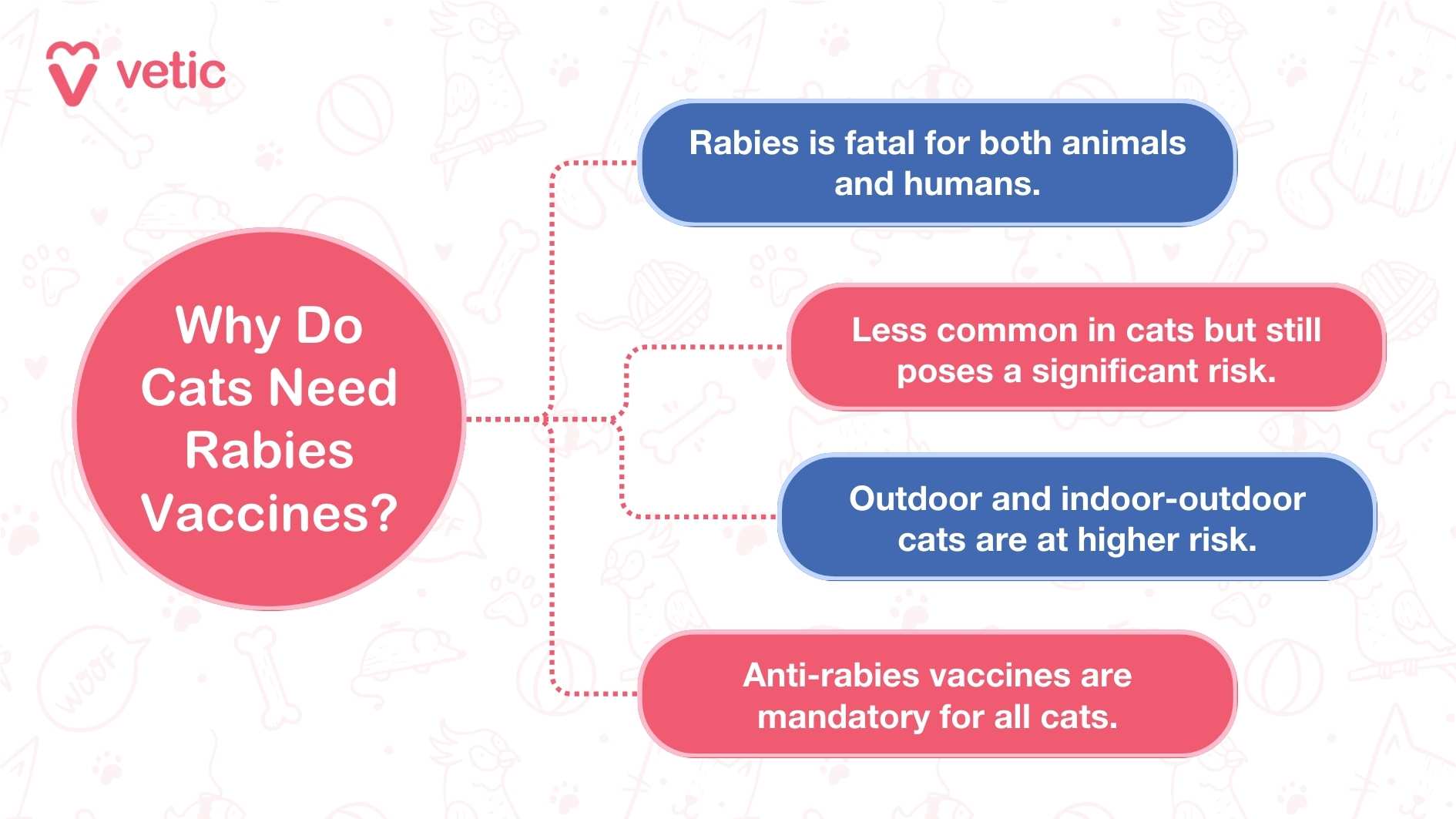 The image is an informational graphic from "vetic" explaining why cats need rabies vaccines. The graphic is divided into a central question and four supporting points. The design is clean and professional, with each supporting point clearly highlighted. The background color is soft and soothing, enhancing the overall visual appeal. The central question in the graphic is "Why Do Cats Need Rabies Vaccines?" The supporting points are as follows: "Rabies is fatal for both animals and humans." "Less common in cats but still poses a significant risk." "Outdoor and indoor-outdoor cats are at higher risk." "Anti-rabies vaccines are mandatory for all cats." This graphic provides a clear and concise explanation of the importance of rabies vaccines for cats, emphasizing the risks and legal requirements. Would you like any specific details or information added to your blog based on this description, or do you have more images to share related to vaccines for cats and kittens?