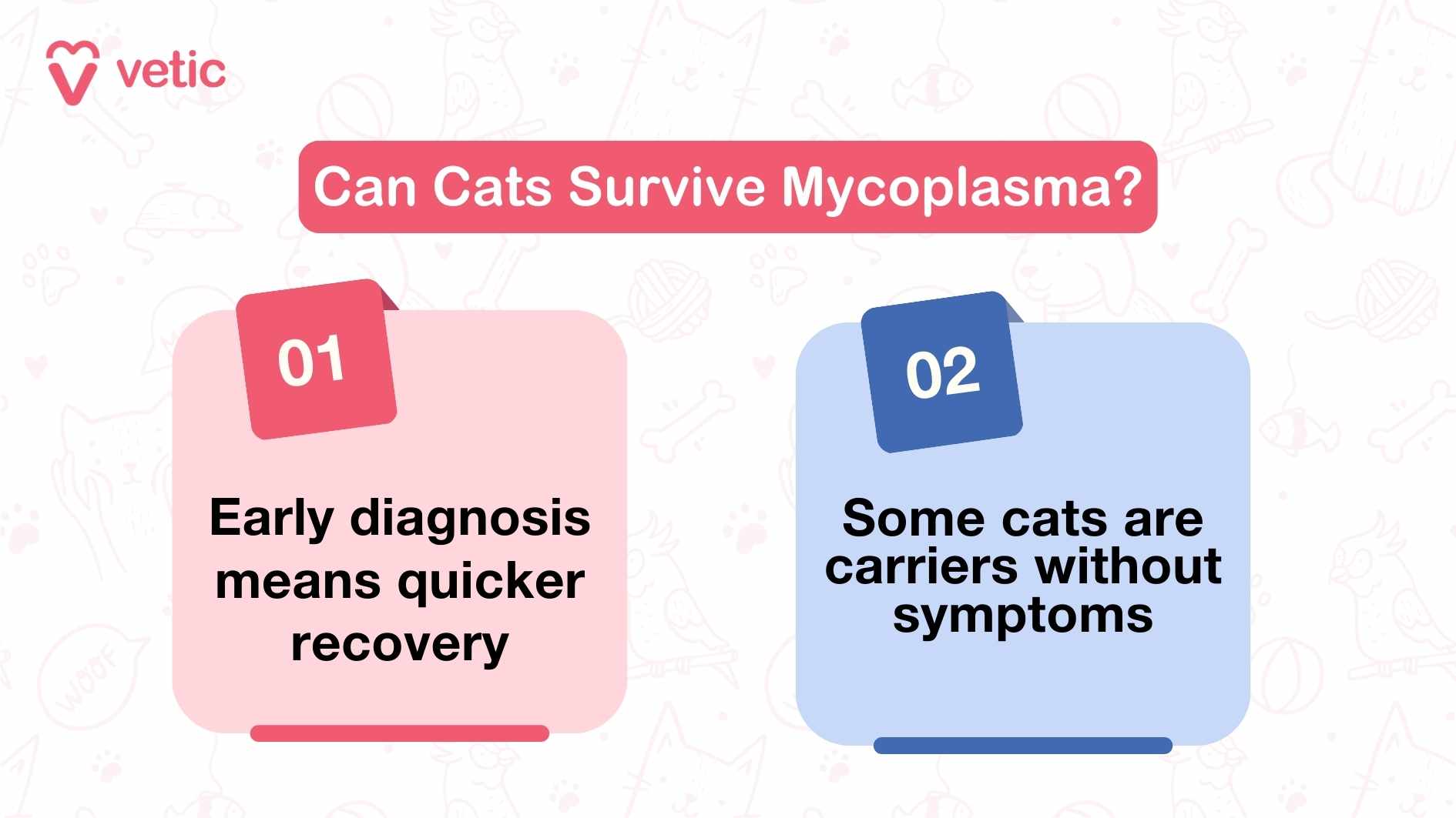 Can Cats Survive Mycoplasma? The image is an informational graphic by "vetic" addressing the question of whether cats can survive Mycoplasma. It prominently features two key points: Early diagnosis means quicker recovery: Emphasizing the importance of diagnosing Mycoplasma early for a swift recovery. Some cats are carriers without symptoms: Highlighting that some cats can carry the Mycoplasma bacteria without displaying any symptoms. This image is relevant as it provides crucial information about the survival and diagnosis of Mycoplasma in cats. If you have more images, feel free to attach them, and I'll describe each one in detail!