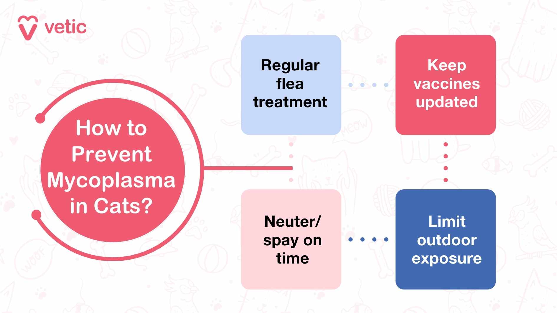 Can Cats Survive Mycoplasma? The image is an infographic from "vetic" that provides tips on how to prevent Mycoplasma in cats. It includes the following points: Regular flea treatment Keep vaccines updated Neuter/spay on time Limit outdoor exposure This image is relevant as it highlights the preventive measures that cat owners can take to protect their pets from Mycoplasma. If you have more images, please go ahead and attach them, and I'll describe each one in detail!