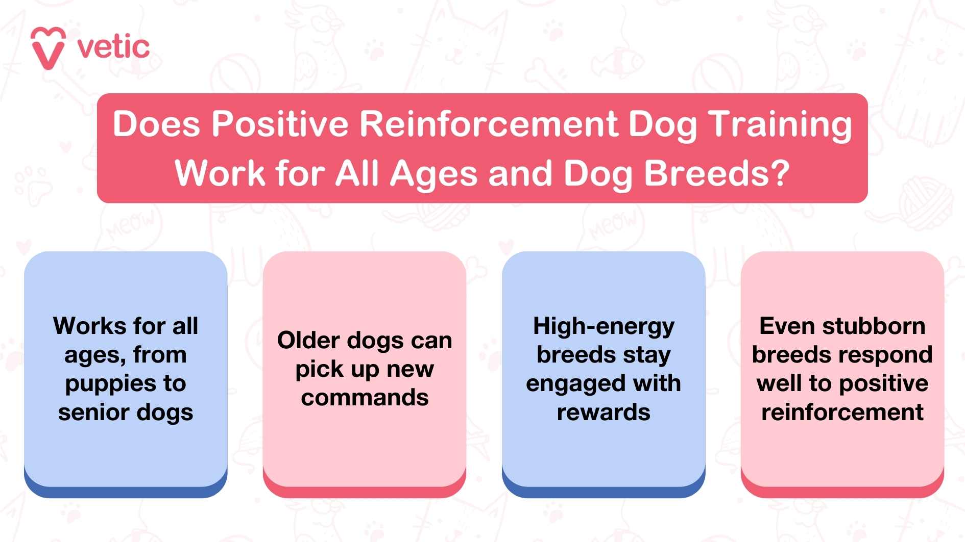 This graphic, created by Vetic, highlights the effectiveness of positive reinforcement dog training for all ages and breeds. The image is divided into four sections, each emphasizing different benefits of using positive reinforcement: "Works for all ages, from puppies to senior dogs" - This emphasizes the versatility of this training method across different life stages. "Older dogs can pick up new commands" - Demonstrating that even senior dogs are capable of learning with the right approach. "High-energy breeds stay engaged with rewards" - A nod to how rewards can help channel the energy of more active breeds positively. "Even stubborn breeds respond well to positive reinforcement" - Highlighting the ability of this approach to resonate with breeds that are traditionally perceived as challenging. The design is clean, with a friendly tone, and incorporates playful pet-related visuals like paw prints, adding charm and approachability.