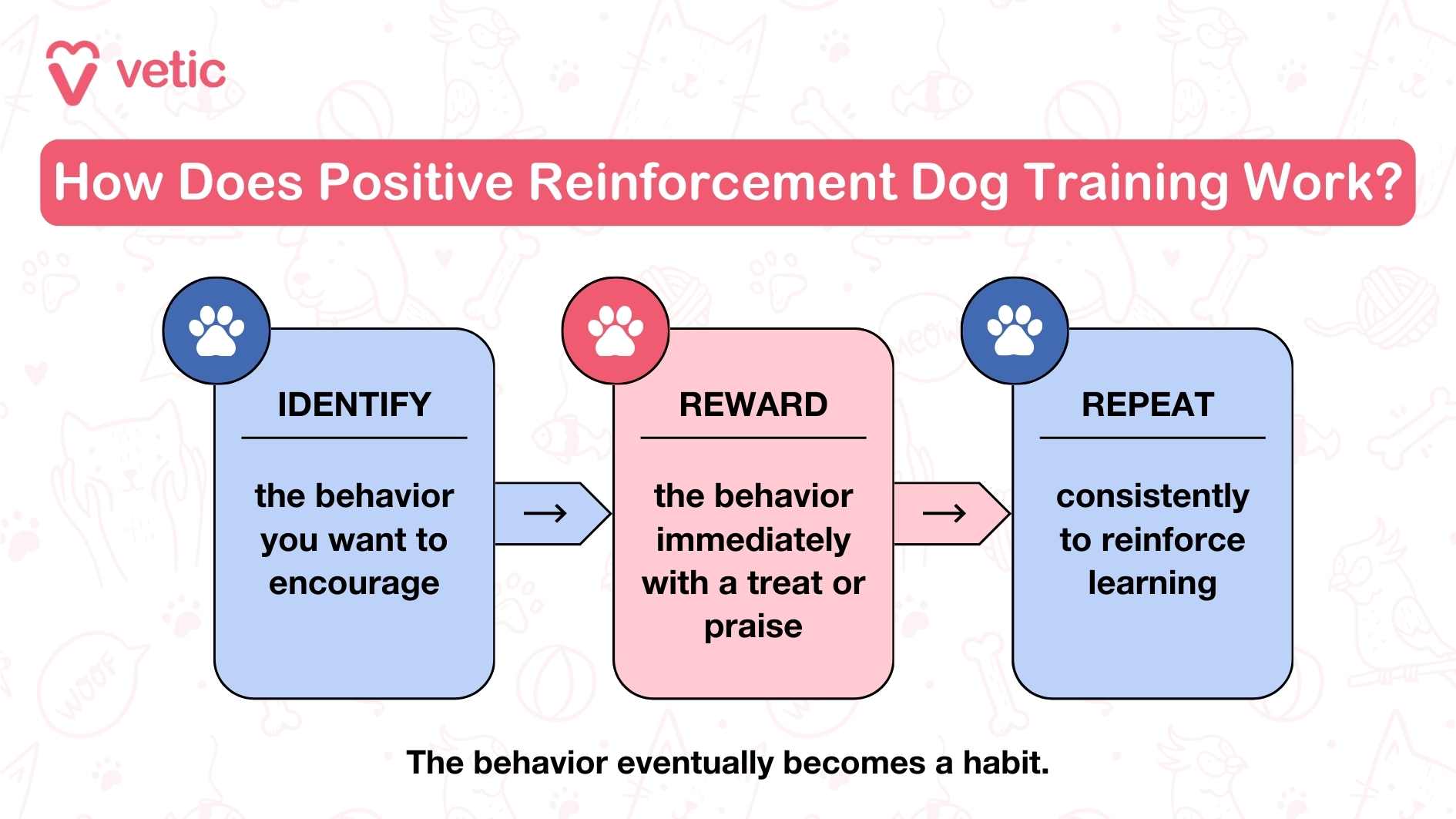 This infographic is also from "Vetic" and focuses on the mechanics of positive reinforcement dog training. The visual is clean and concise, offering a step-by-step guide with three main stages: IDENTIFY: Recognize the specific behavior you aim to encourage. REWARD: Immediately reward the behavior using treats or verbal praise to reinforce it. REPEAT: Continuously repeat the process for the behavior to evolve into a lasting habit. The supporting text highlights how this method eventually helps the dog internalize the behavior as a habit. The design also features playful elements like paw prints and subtle illustrations, which add a friendly, pet-related vibe to the image.