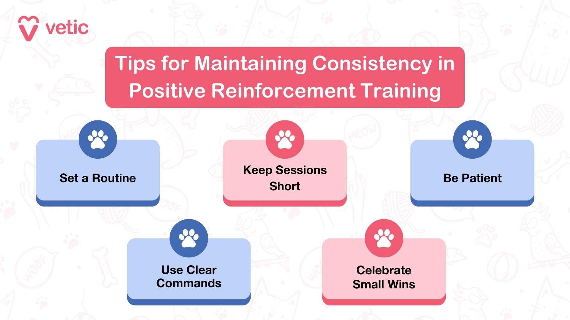 This infographic also comes from "Vetic" and focuses on tips for maintaining consistency in positive reinforcement dog training. It's designed with clarity and simplicity in mind, featuring a central title surrounded by five distinct tips, each accompanied by a cute paw print icon. The five tips outlined are: Set a Routine - Establish a regular schedule to help your pet understand training times. Keep Sessions Short - Shorter sessions tend to be more effective for maintaining your pet's attention. Be Patient - Progress may take time, so staying calm and patient is key. Use Clear Commands - Consistent, straightforward instructions are essential for training success. Celebrate Small Wins - Acknowledge and reward incremental progress to motivate your pet. The visual layout is minimalistic, with a soft background and an engaging design that emphasizes the paw prints. This combination makes it approachable and easy to digest for readers.