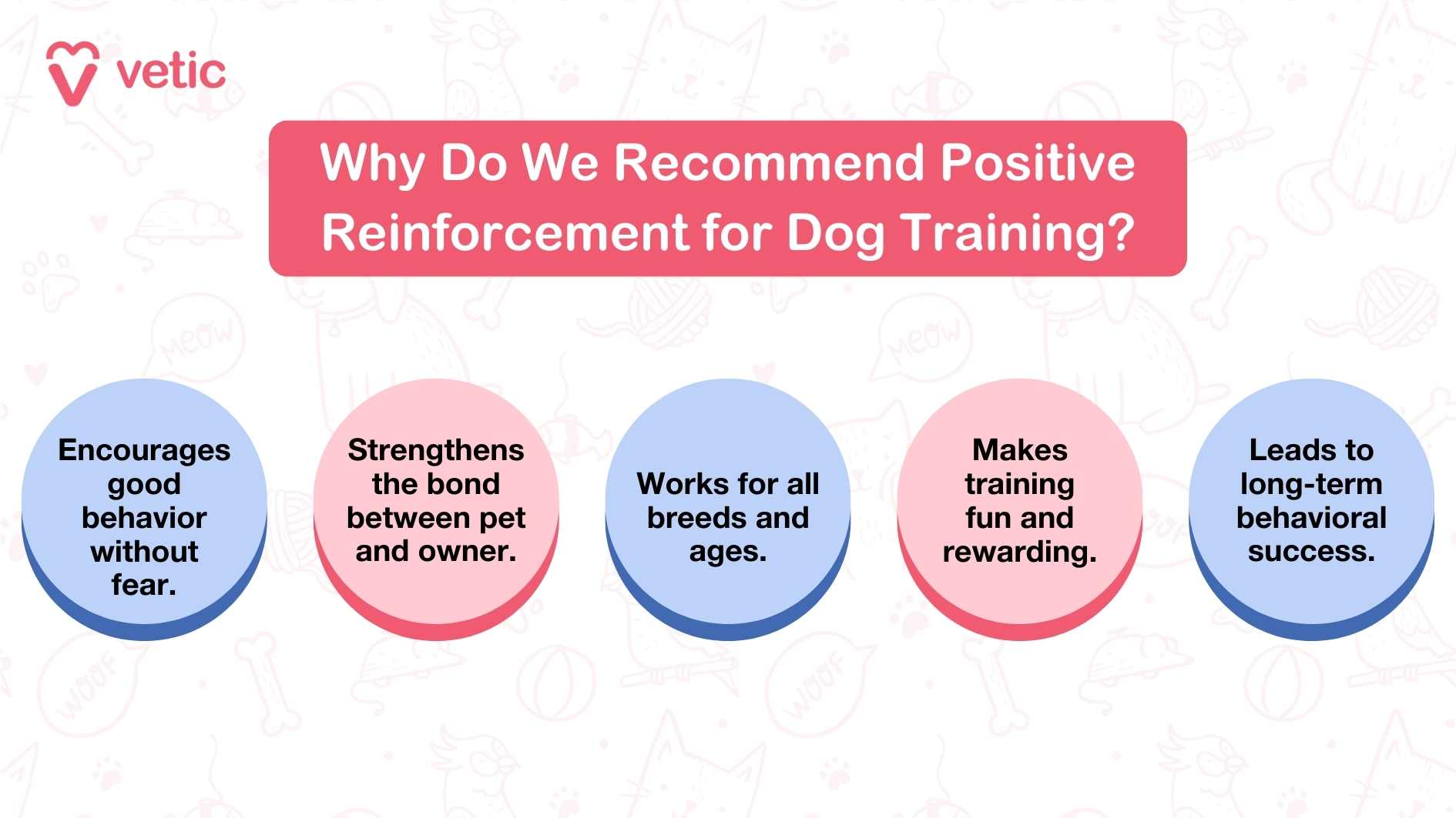 The infographic, titled "Why Do We Recommend Positive Reinforcement for Dog Training?", presents five compelling reasons to adopt positive reinforcement as a training method. These reasons are displayed within colorful circles, creating a visually appealing layout. The reasons include: Encourages Good Behavior Without Fear - Promoting an environment of trust and safety. Strengthens the Bond Between Pet and Owner - Highlighting how this approach fosters a deeper connection. Works for All Breeds and Ages - Emphasizing the versatility of the technique. Makes Training Fun and Rewarding - Turning the process into an enjoyable experience for both the pet and the owner. Leads to Long-Term Behavioral Success - Underscoring the lasting benefits of using positive reinforcement.