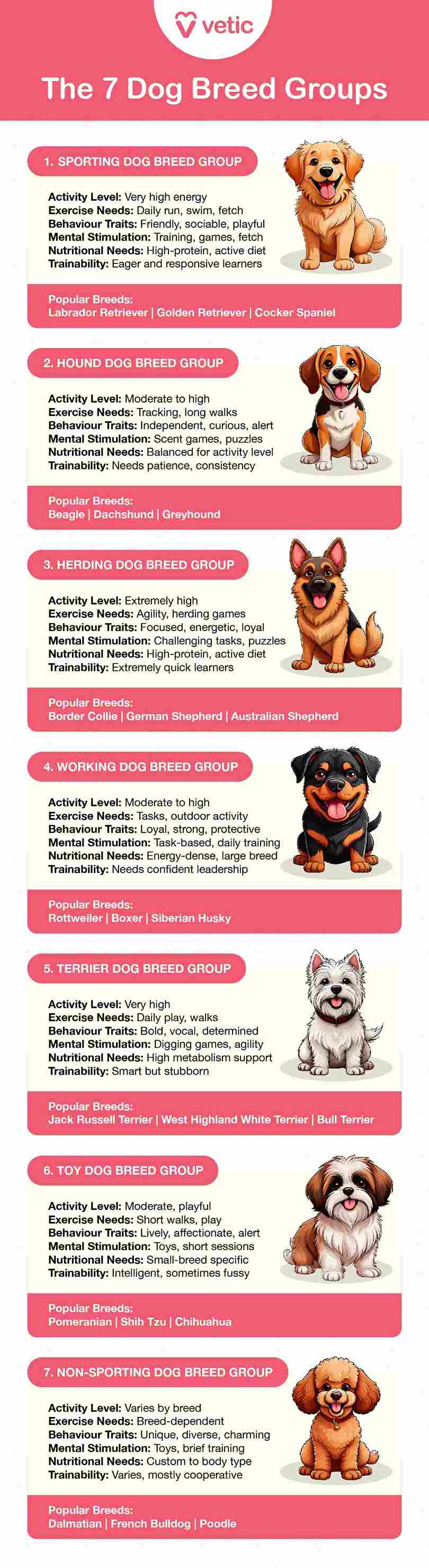 Dog Breed Groups: Understanding Dog Breeds 1. Sporting Dog Breed Group Activity Level: Very high energy Exercise Needs: Daily run, swim, fetch Behaviour Traits: Friendly, sociable, playful Mental Stimulation: Training, games, fetch Nutritional Needs: High-protein, active diet Trainability: Eager and responsive learners Popular Breeds: Labrador Retriever Golden Retriever Cocker Spaniel 2. Hound Dog Breed Group Activity Level: Moderate to high Exercise Needs: Tracking, long walks Behaviour Traits: Independent, curious, alert Mental Stimulation: Scent games, puzzles Nutritional Needs: Balanced for activity level Trainability: Needs patience, consistency Popular Breeds: Beagle Dachshund Greyhound 3. Working Dog Breed Group Activity Level: Moderate to high Exercise Needs: Tasks, outdoor activity Behaviour Traits: Loyal, strong, protective Mental Stimulation: Task-based, daily training Nutritional Needs: Energy-dense, large breed Trainability: Needs confident leadership Popular Breeds: Rottweiler Boxer Siberian Husky 4. Terrier Dog Breed Group Activity Level: Very high Exercise Needs: Daily play, walks Behaviour Traits: Bold, vocal, determined Mental Stimulation: Digging games, agility Nutritional Needs: High metabolism support Trainability: Smart but stubborn Popular Breeds: Jack Russell Terrier West Highland White Terrier Bull Terrier 5. Toy Dog Breed Group Activity Level: Moderate, playful Exercise Needs: Short walks, play Behaviour Traits: Lively, affectionate, alert Mental Stimulation: Toys, short sessions Nutritional Needs: Small-breed specific Trainability: Intelligent, sometimes fussy Popular Breeds: Pomeranian Shih Tzu Chihuahua 6. Herding Dog Breed Group Activity Level: Extremely high Exercise Needs: Agility, herding games Behaviour Traits: Focused, energetic, loyal Mental Stimulation: Challenging tasks, puzzles Nutritional Needs: High-protein, active diet Trainability: Extremely quick learners Popular Breeds: Border Collie German Shepherd Australian Shepherd 7. Non-Sporting Dog Breed Group Activity Level: Varies by breed Exercise Needs: Breed-dependent Behaviour Traits: Unique, diverse, charming Mental Stimulation: Toys, brief training Nutritional Needs: Custom to body type Trainability: Varies, mostly cooperative Popular Breeds: Dalmatian French Bulldog Poodle