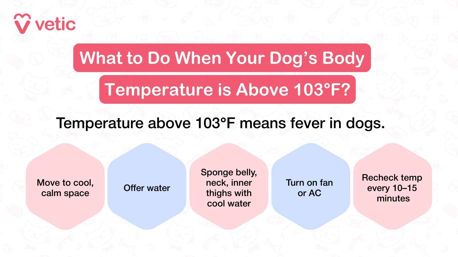 illustration on what to do when your dog's body temperature is above 103-degree Fahrenheit? the following text says, a temperature above 103-degree Fahrenheit means fever in dogs. Here's what you should do to make them comfortable - move them to a cool space, offer them some water, sponge them with cool water, switch the fan and AC on, and recheck their temperature every 15 mins.