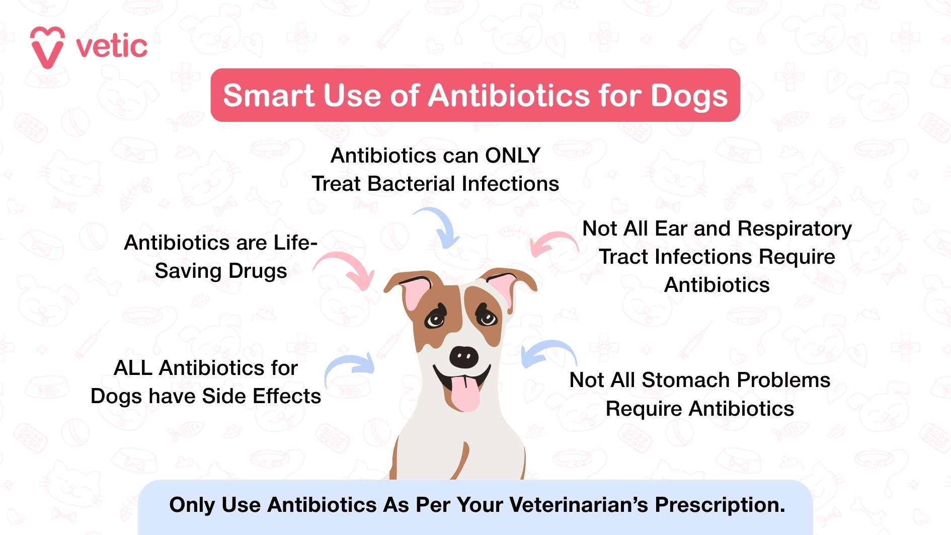 This image from Vetic provides a structured guide on administering antibiotics to dogs. The layout features a blue informational box, ensuring clarity and easy readability. The Vetic logo is positioned at the top, reinforcing the credibility of the content. The key instructions include: Follow exact dose and schedule to ensure proper treatment. Give with food if advised to minimize digestive issues. Use pill pockets or mix with safe treats for easier administration. If your dog vomits or spits out the pill, inform your vet for further guidance. Never use old or leftover meds to avoid incorrect dosages or harm. A medicine bottle with a dropper is illustrated beside the guidelines, visually reinforcing the medical theme. Additionally, a speech bubble with a paw print adds an engaging and relatable touch.