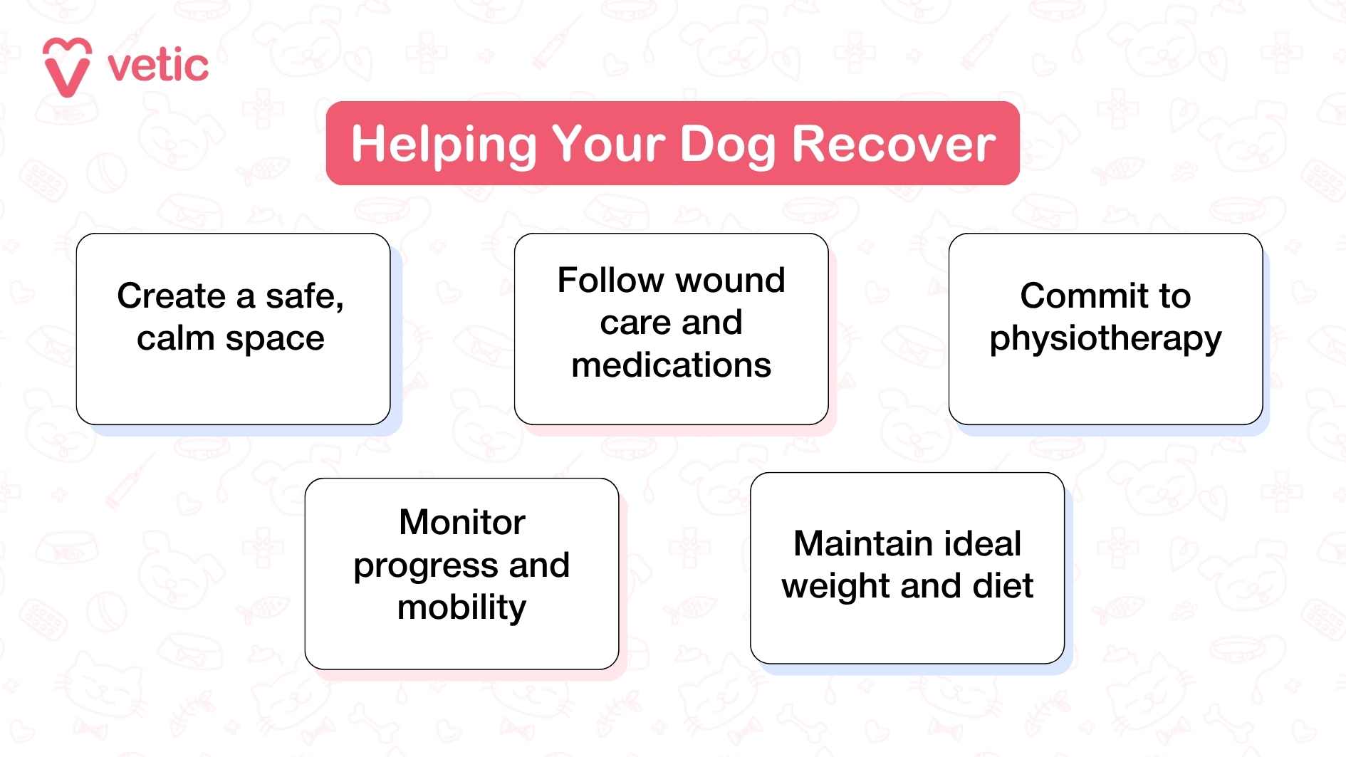 The infographic titled “Helping Your Dog Recover” features five easy-to-follow tips for post-surgery care. It encourages pet parents to create a safe, calm space for healing. Wound care and medications should be followed diligently. Committing to physiotherapy is highlighted as a key recovery step. Tracking progress and mobility helps monitor the dog’s improvement. Lastly, maintaining a healthy weight and balanced diet supports long-term well-being. The layout is simple and reassuring, making recovery feel doable and supported.