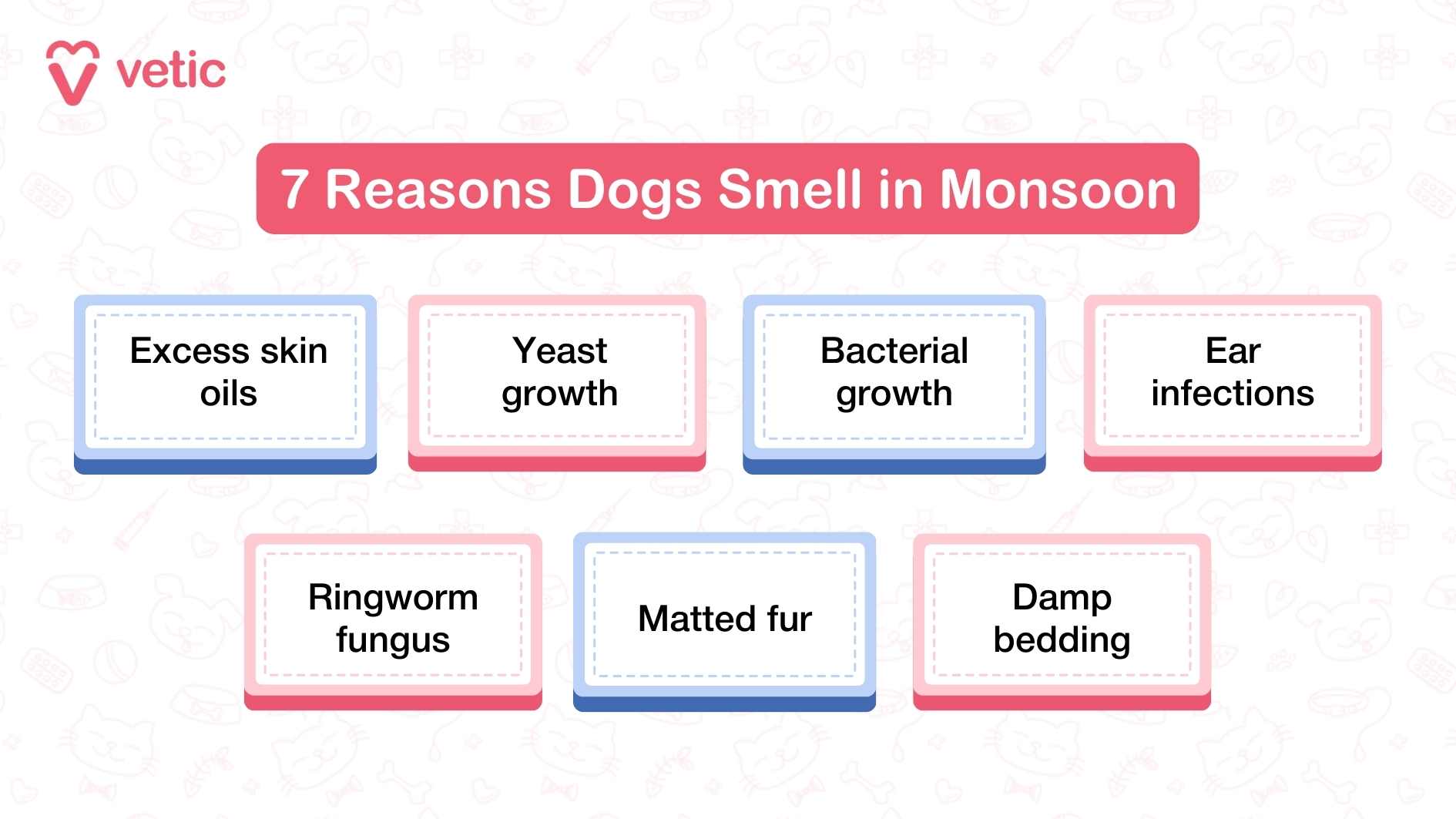 The infographic is titled “7 Reasons Dogs Smell in Monsoon” with the Vetic logo on the top left. Seven boxed points are listed in two rows: Excess skin oils Yeast growth Bacterial growth Ear infections Ringworm fungus Matted fur Damp bedding The design alternates between pink and blue borders, laid out on a light pet-themed background.