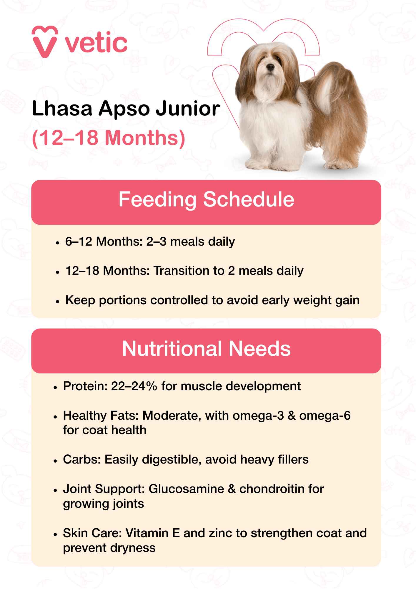 This infographic from Vetic features a lively, youthful Lhasa Apso, visually emphasizing the transitional phase between puppyhood and adulthood. The layout is divided into two key sections: Feeding Schedule and Nutritional Needs, designed to guide pet parents through this critical growth stage. 🕒 Feeding Schedule (Text interpreted in full sentences): Between 6 to 12 months, Lhasa Apsos should be fed 2 to 3 meals daily to support their rapid growth and energy needs. From 12 to 18 months, transition to 2 meals per day as their metabolism begins to stabilize. It’s important to keep portions controlled to prevent early weight gain and support healthy development. 🥩 Nutritional Needs (Text interpreted in full sentences): Their diet should contain 22–24% protein to promote strong muscle development. Include a moderate amount of healthy fats, with omega-3 and omega-6 fatty acids to enhance coat health and shine. Choose easily digestible carbohydrates and avoid heavy fillers that may cause bloating or sluggishness. Add joint-supporting nutrients like glucosamine and chondroitin to protect growing joints. Include skin-supportive micronutrients such as vitamin E and zinc to strengthen the coat and prevent dryness or irritation.