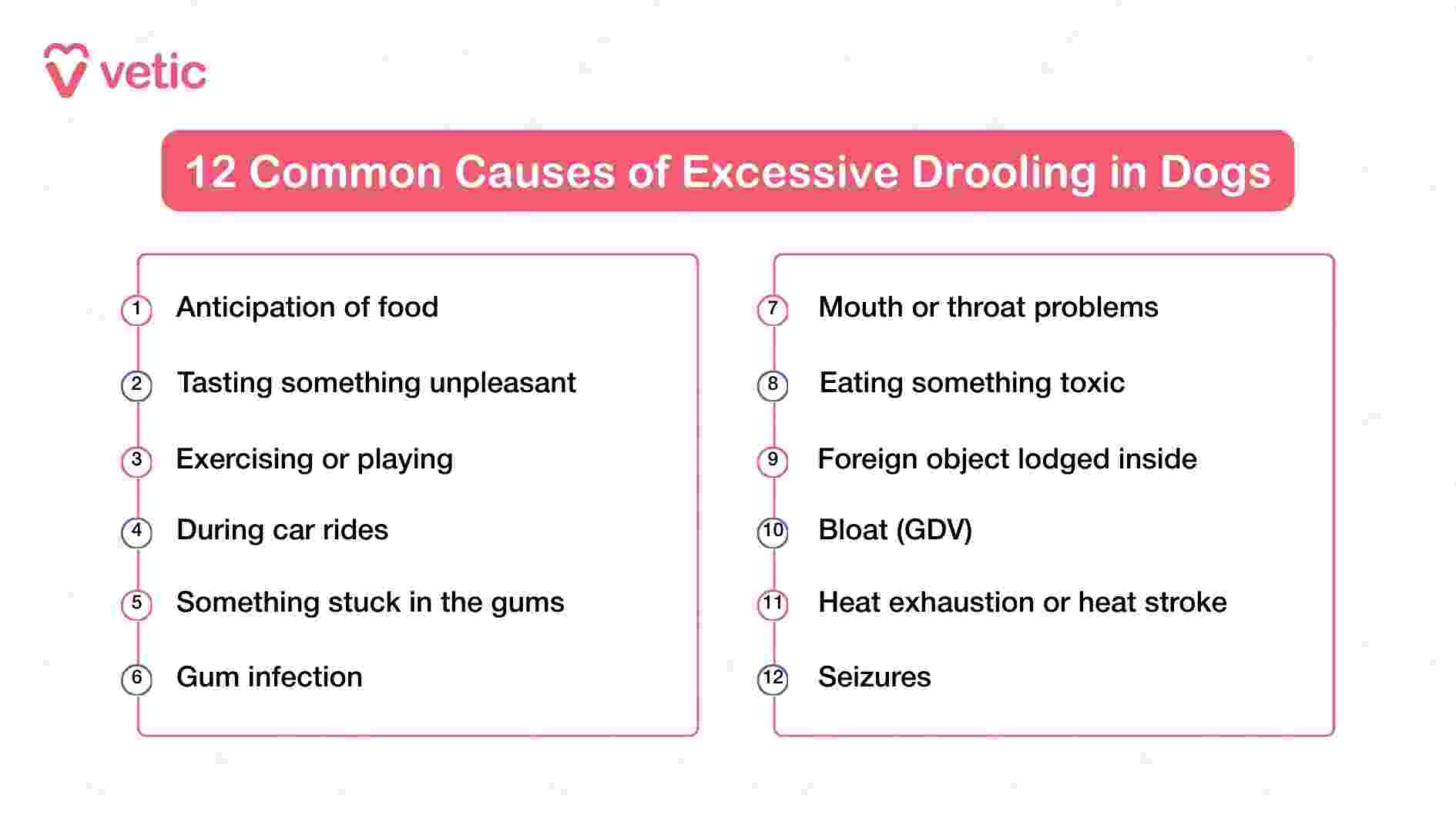 This infographic from Vetic titled "12 Common Causes of Excessive Drooling in Dogs" offers a comprehensive snapshot of both benign and serious triggers behind abnormal salivation. The left column begins with everyday causes such as food anticipation, unpleasant tastes, physical activity, and car rides—situations that typically provoke short-term drooling without medical concern. It then transitions into oral health issues like gum infections or debris stuck in the gums, which may require veterinary attention. The right column shifts toward more urgent medical scenarios, including mouth or throat problems, ingestion of toxins, foreign objects, and life-threatening conditions like bloat (GDV) and heat stroke. Seizures also appear on this list, reinforcing their role as a neurological cause of excessive drooling. By organizing these causes into a digestible format, the image empowers pet parents to differentiate between harmless triggers and red flags that demand immediate action.