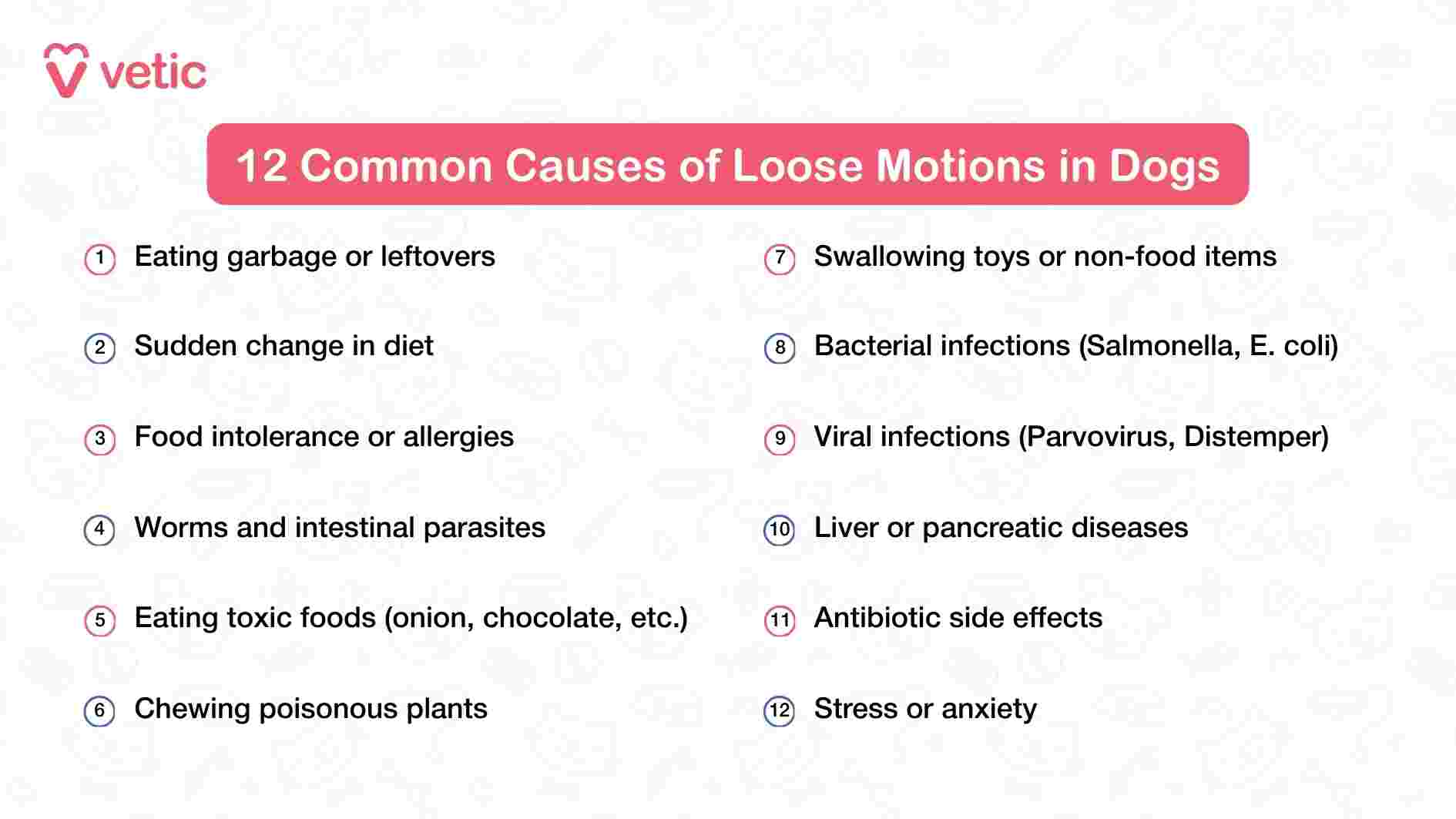 This educational graphic from Vetic presents a structured overview of twelve common causes of diarrhea in dogs. Each cause is listed clearly, ranging from dietary indiscretions like eating garbage or sudden food changes, to more serious medical issues such as viral infections and liver disease. The layout is clean and easy to scan, making it ideal for pet parents seeking quick, reliable information. The inclusion of behavioral triggers like stress and anxiety adds depth, reminding viewers that digestive health is influenced by both physical and emotional factors. The image serves as a comprehensive reference point for understanding why a dog might experience loose motions.