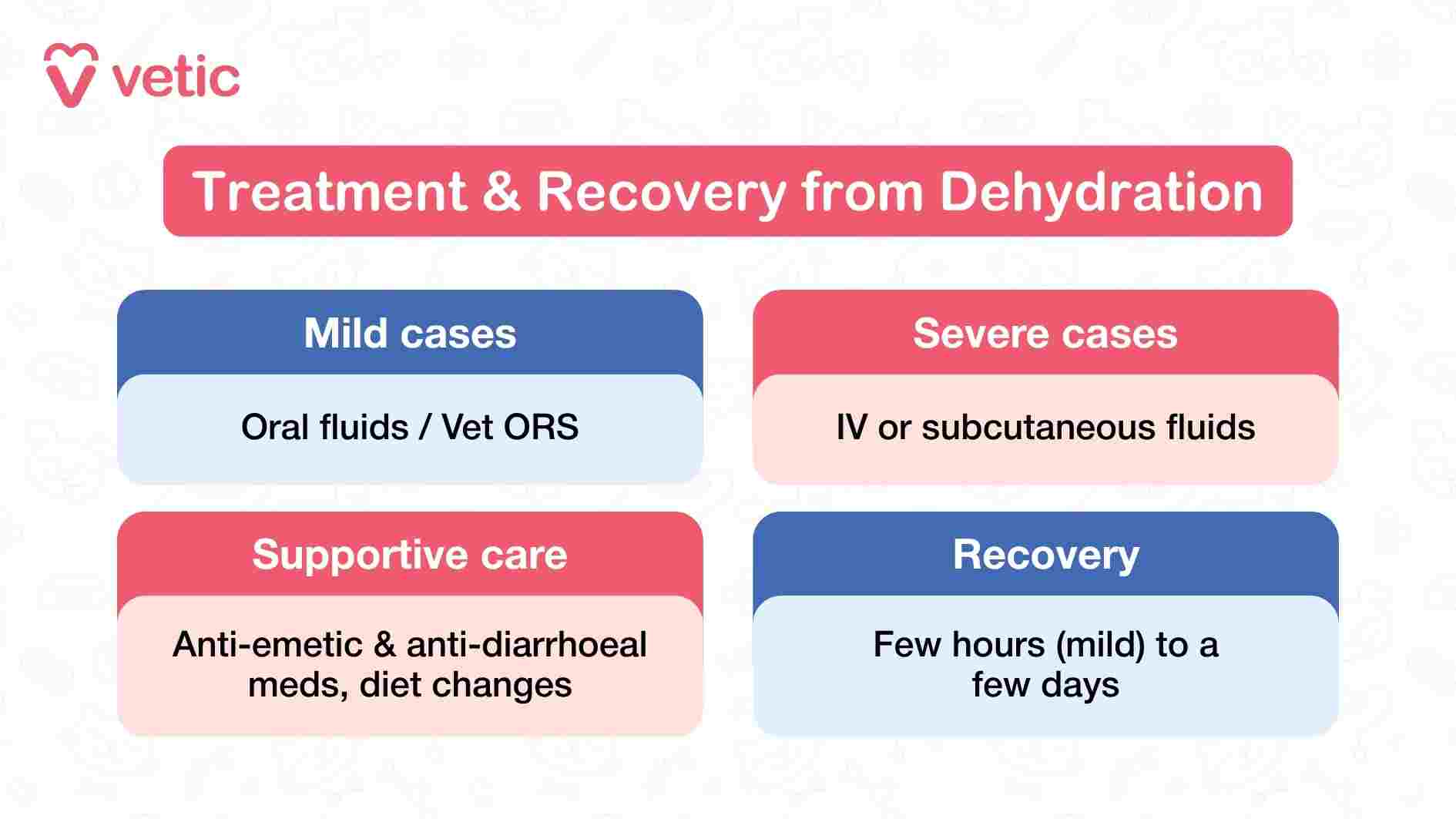 This Vetic infographic outlines the treatment and recovery process for dehydration in pets, using a four-part layout that clearly distinguishes between mild and severe cases. The first section addresses mild dehydration, recommending oral fluids or Vet ORS as the primary intervention. The second section covers severe cases, where intravenous (IV) or subcutaneous fluid administration is necessary—indicating veterinary involvement. The third section highlights supportive care, including anti-emetic and anti-diarrhoeal medications, along with dietary adjustments to stabilize the pet’s condition. The final section sets expectations for recovery time, noting that mild cases may resolve within a few hours, while severe dehydration may take several days to fully recover. The image is structured to guide pet parents through the escalation of care, emphasizing timely action and professional support.