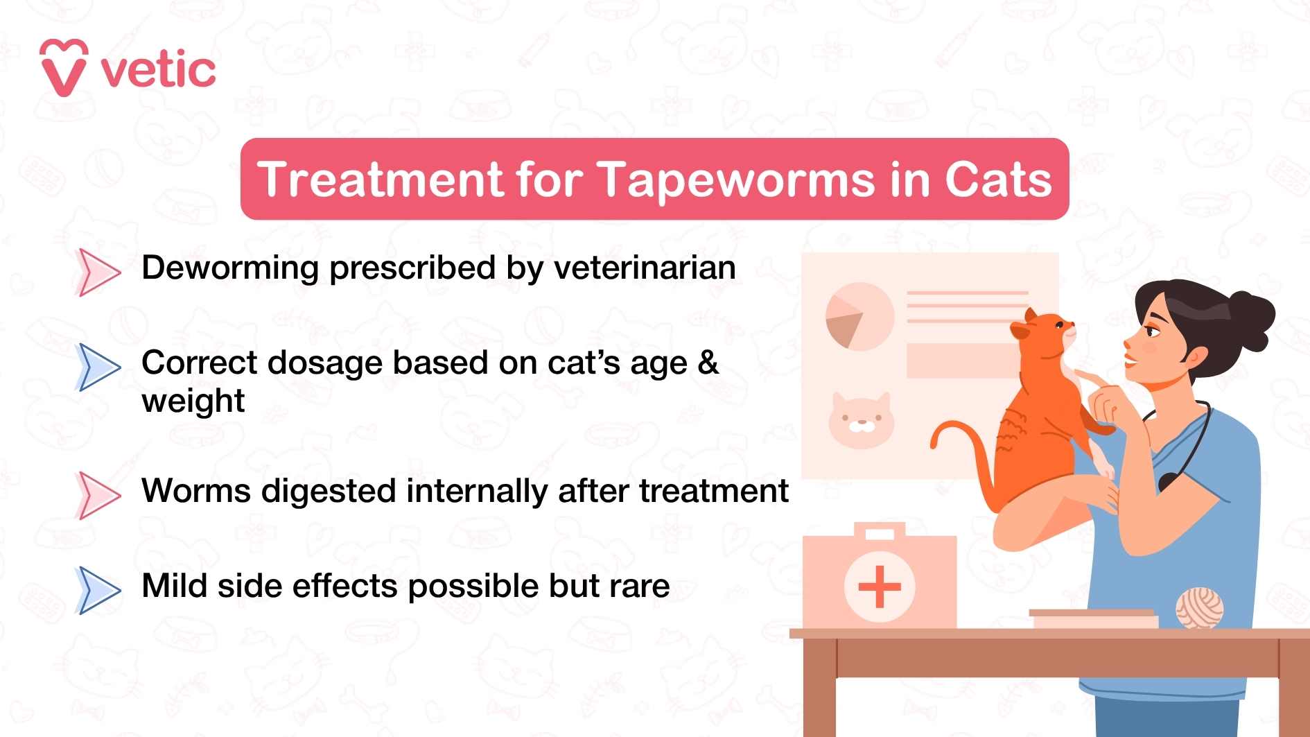 Tapeworms In Cats Symptoms Causes Treatment Prevention Tapeworms In Cats Symptoms Causes Treatment Prevention