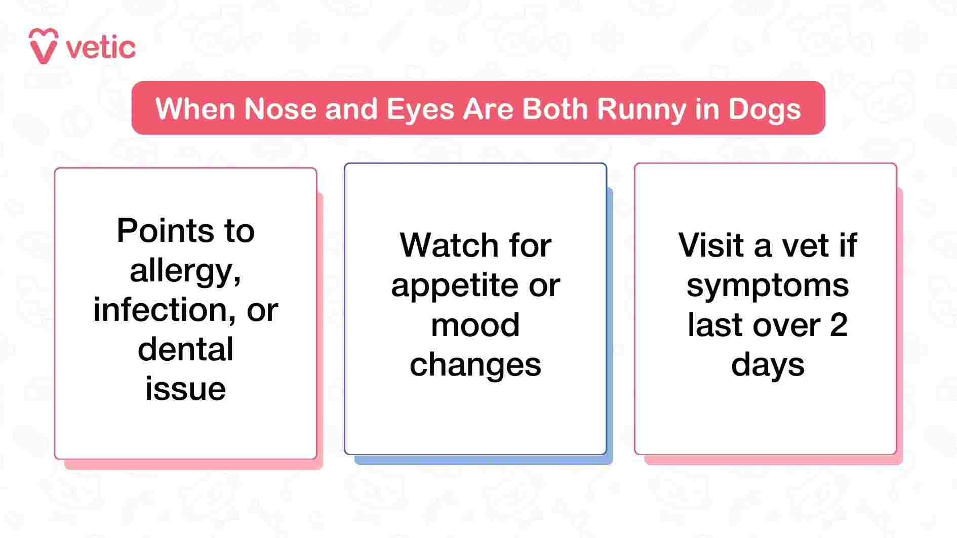 This Vetic infographic offers concise guidance for pet parents dealing with a dog that has both a runny nose and watery eyes. The layout features three distinct points, each framed to highlight a specific concern. The first message suggests that simultaneous nasal and eye discharge may indicate an underlying allergy, infection, or even a dental issue—conditions that often share overlapping symptoms in dogs. The second point urges pet parents to monitor behavioral cues like changes in appetite or mood, which can signal discomfort or systemic illness. The third and final prompt advises seeking veterinary care if these symptoms persist beyond two days, emphasizing the importance of early intervention. The design is clean and direct, using minimal text and bold visuals to ensure the information is quickly absorbed. Overall, the image serves as a practical decision-making tool for pet owners navigating ambiguous symptoms.
