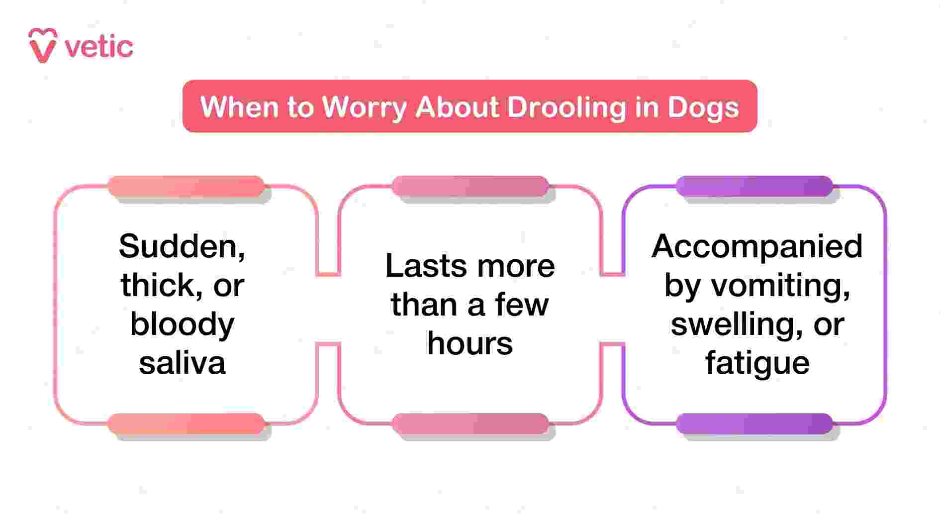 The banner at the top—“When to Worry About Drooling in Dogs”—sets the tone for urgency and vigilance. The first box warns that sudden changes in saliva texture, especially if it becomes thick or bloody, may signal trauma, infection, or poisoning. The second box advises that drooling lasting more than a few hours should not be dismissed, as prolonged symptoms often point to underlying medical issues. The third box raises the alarm for drooling accompanied by vomiting, swelling, or fatigue—symptoms that suggest systemic illness or acute distress. Together, these criteria help pet parents move beyond guesswork and recognize when drooling demands professional attention.