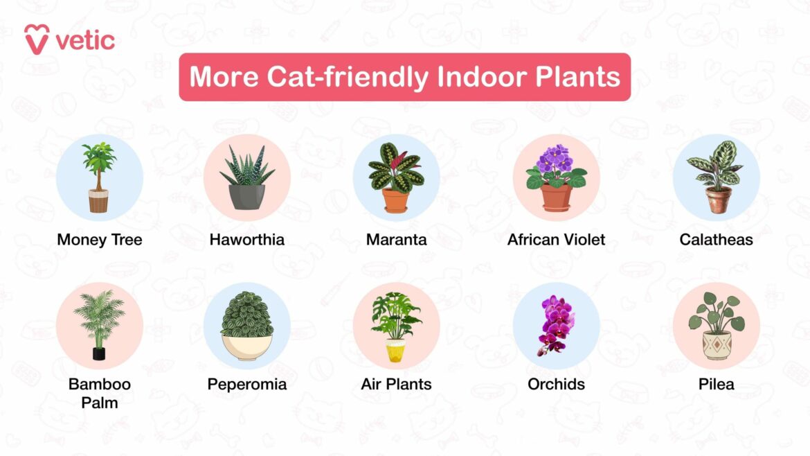 Safe Indoor Plants for Cats: Non-Toxic, Cat-Safe Houseplants