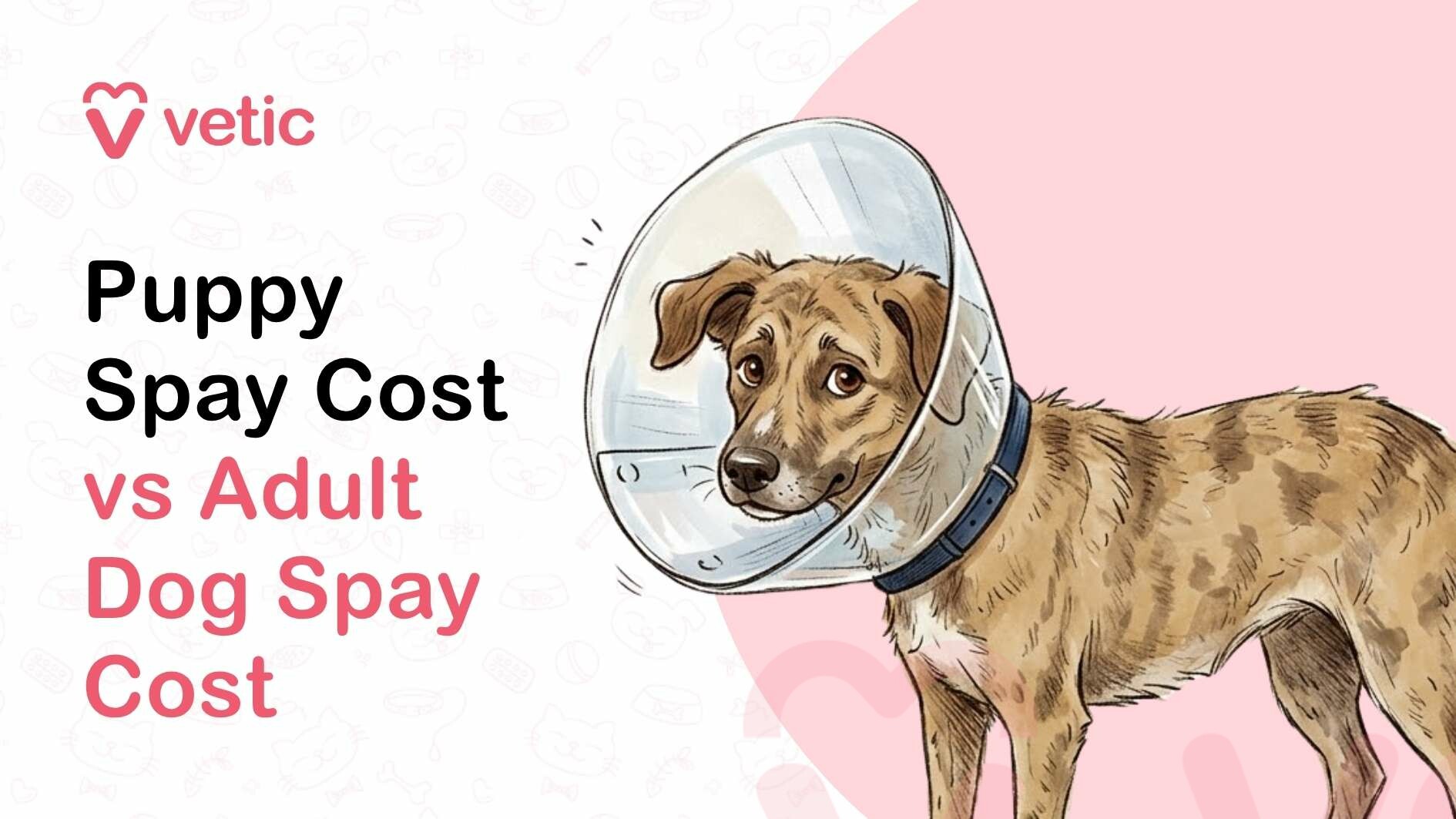 A clean and professionally designed informational graphic focused on comparing puppy spay cost versus adult dog spay cost, created to educate pet owners about the differences in pricing, procedure complexity, and overall veterinary considerations. The image features a modern layout with a soft pastel color palette, making it visually appealing and easy to understand for dog owners researching spaying procedures and associated costs. In the top left corner, the branding element ‘Vetic’ is displayed alongside a heart-shaped logo, symbolizing trust, compassion, and professional veterinary care. This indicates that the information comes from a reliable pet healthcare provider dedicated to educating pet parents about important medical procedures and responsible pet ownership. The main headline on the left side of the image reads ‘Puppy Spay Cost vs Adult Dog Spay Cost,’ with a clear typographic hierarchy that highlights important keywords such as ‘puppy spay,’ ‘adult dog spay,’ ‘cost,’ and ‘comparison.’ The text is styled using bold black and soft pink colors to emphasize the key message while maintaining readability and visual balance. This structure ensures that the graphic is optimized for search engines and aligns with common queries such as ‘spaying cost for puppies,’ ‘adult dog spay price,’ and ‘dog sterilization cost comparison.’ On the right side of the image, there is an illustration of a brown dog wearing an Elizabethan collar, commonly known as a recovery cone. The dog appears calm and slightly subdued, reflecting the post-surgery recovery phase after a spay procedure. The brown dog has short fur, expressive eyes, and a gentle posture, conveying a sense of vulnerability and care. The cone around the dog’s neck is clearly visible, emphasizing the medical context and reinforcing the idea of post-operative care and healing after spaying surgery. The dog’s presence visually represents the outcome of the procedure, helping pet owners connect with the concept of surgical care and recovery. The use of a recovery cone also highlights the importance of preventing licking or irritation of the surgical site, which is a key part of post-spay care instructions provided by veterinarians. The background of the image includes subtle pet-themed illustrations such as paw prints, dog icons, bones, and veterinary symbols, all presented in a faint and minimal style. These elements support the overall theme of pet healthcare without distracting from the main content. A soft circular or gradient backdrop behind the dog helps draw attention to the subject and creates a balanced visual composition. This image is highly relevant for blog posts, veterinary guides, and educational content related to dog spaying, pet sterilization, and veterinary costs. It is particularly useful for pet owners who are deciding when to spay their dog and want to understand the cost differences between performing the procedure at a younger age versus later in adulthood. The graphic may also imply factors such as increased complexity, higher anesthesia requirements, and longer recovery times in adult dogs compared to puppies. From an SEO perspective, the image incorporates high-value keywords such as ‘puppy spay cost,’ ‘adult dog spay cost,’ ‘dog sterilization price,’ ‘spaying dogs in India,’ ‘veterinary surgery cost,’ and ‘pet surgery comparison.’ These keywords are naturally embedded within the design and context, improving search engine visibility and helping the content rank for relevant queries. The image enhances on-page SEO by increasing engagement, providing visual clarity, and supporting informational content about veterinary procedures. The tone of the graphic is educational, informative, and reassuring, aiming to help pet owners make informed decisions about their dog’s health. It emphasizes responsible pet care and highlights the importance of spaying for population control, health benefits, and long-term well-being. The inclusion of the dog wearing a cone adds realism and relatability, making the content more engaging and trustworthy. In summary, this image effectively communicates the comparison between puppy spay cost and adult dog spay cost through a visually engaging and SEO-friendly design. It combines clear typography, professional branding, and a relatable illustration to create an informative resource for pet owners. The focus on cost comparison, procedure timing, and post-surgery recovery makes it a valuable asset for pet care blogs, veterinary websites, and educational platforms aiming to provide accurate and helpful information about dog spaying and healthcare decisions.