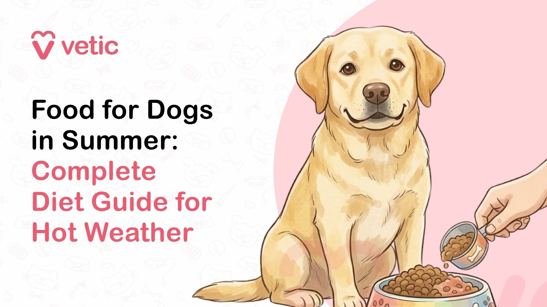 Dog summer diet showing food and hydration for hot weather