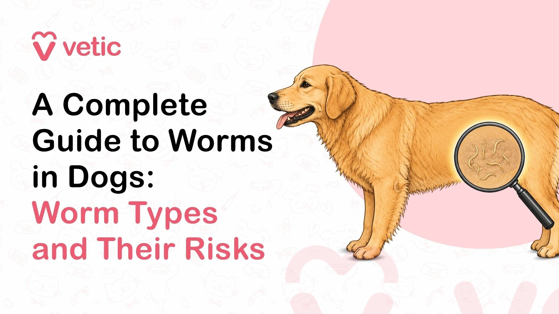 Worms in dogs are very common and present in almost all life stages of all breeds. This is a complete guide to the types of worms in dogs, how to control them and stop them.