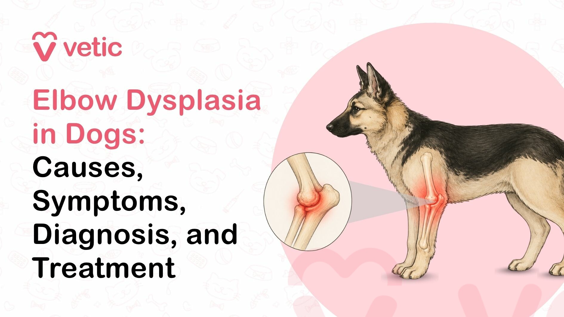 Elbow Dysplasia in Dogs: Symptoms, Causes, and Treatment