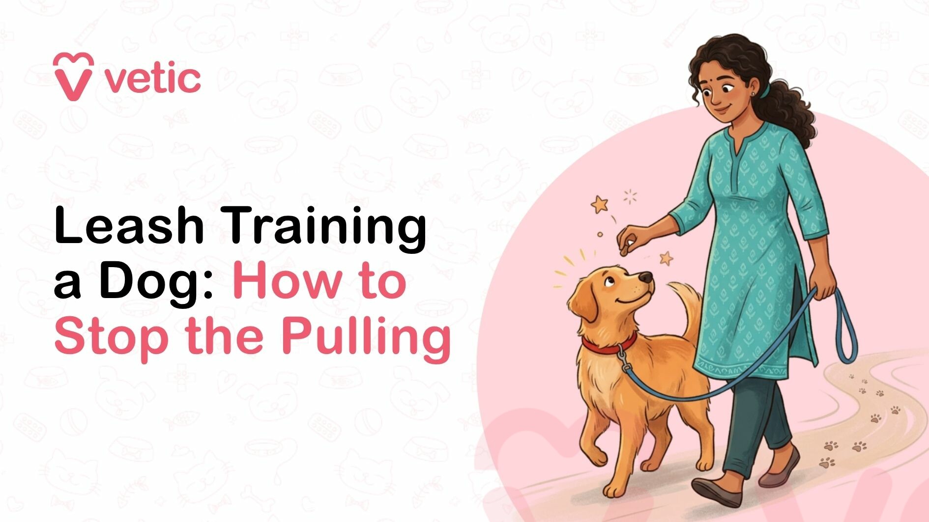 How to stop a dog from pulling leash - Leash Training for Dogs