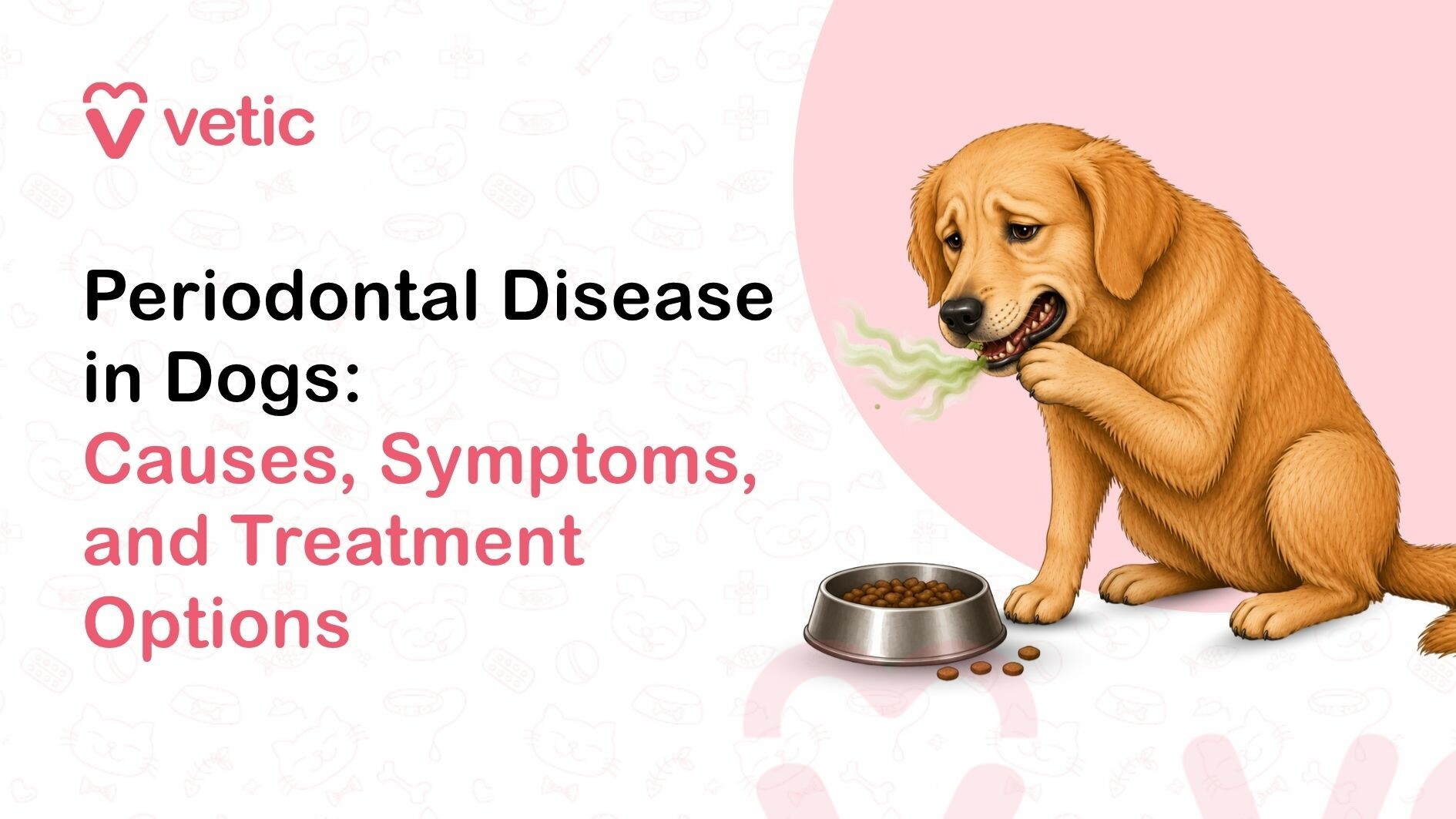 causes, symptoms, and veterinary treatments of periodontal disease in dogs