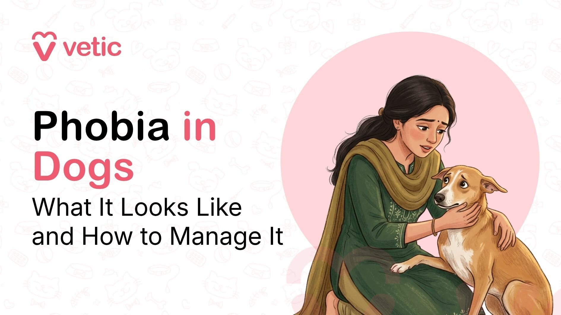 How to manage Phobia in Dogs and what it looks like