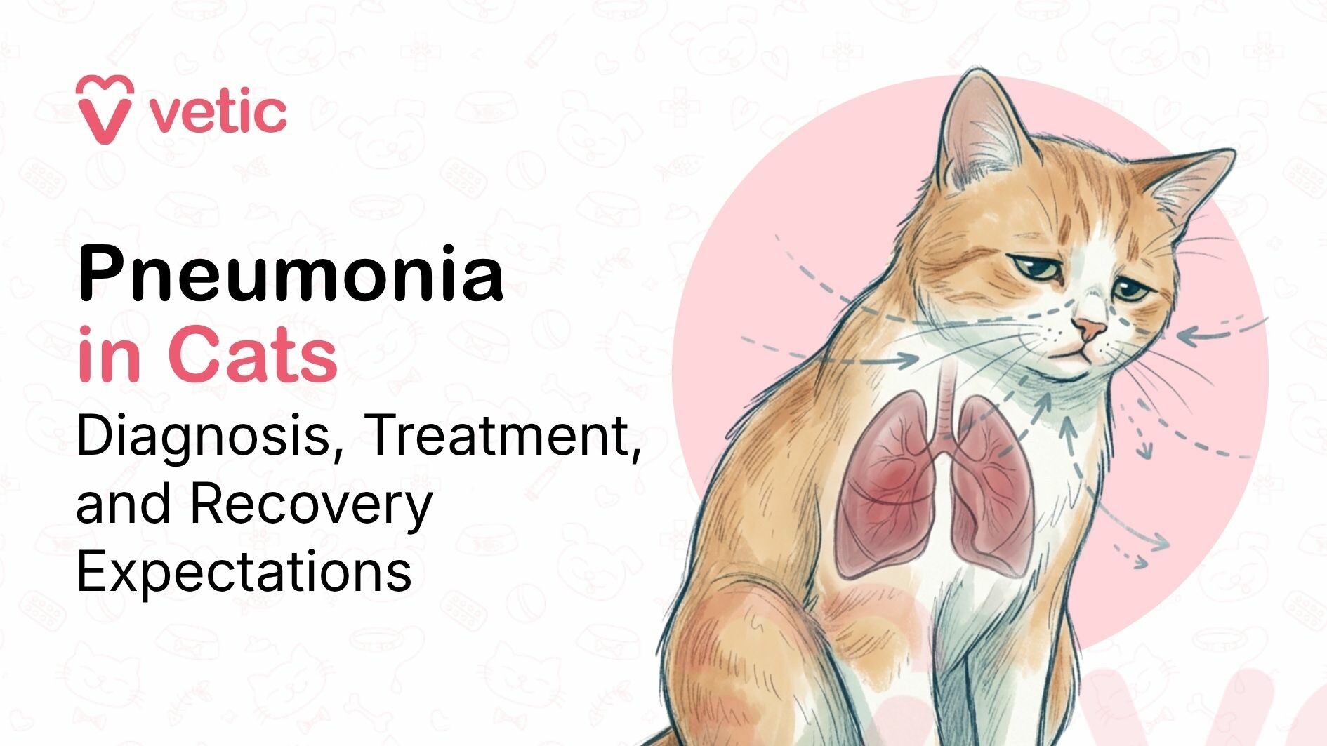 Symptoms & Diagnosis of pneumonia in cats and how it’s treated