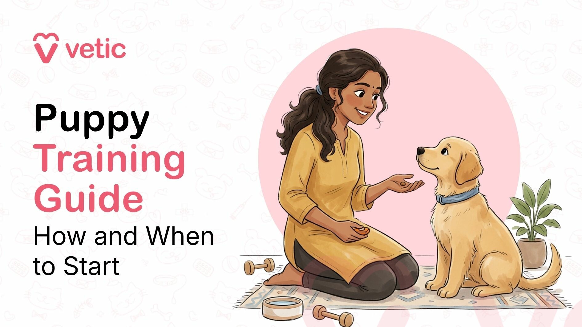 A Guide on How and When to train your Puppy